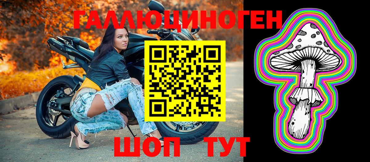 Псилоцибиновые грибы Cubensis  Вход с VPN  Каспийск  Псилоцибиновые грибы прущие грибы 